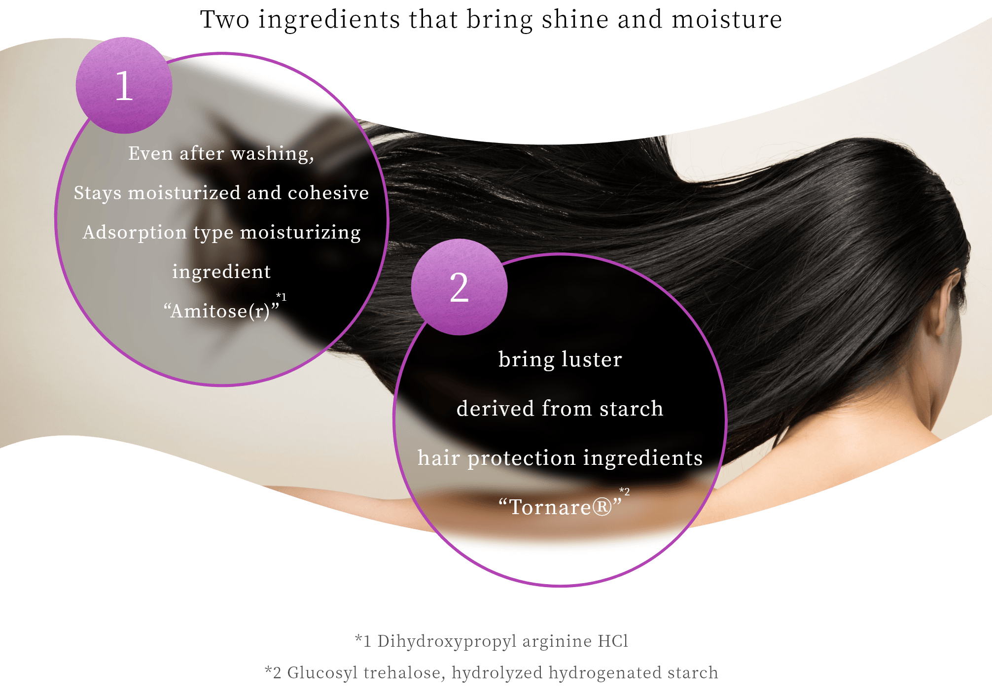 Even after washing,Stays moisturized and cohesive Adsorption type moisturizing ingredient “Amitose(r)*1”  bring luster derived from starch hair protection ingredients “TornareⓇ*2” *1 Dihydroxypropyl arginine HCl　(Amitose(r)is a registered trademark of Seiwa Kasei Co., Ltd.) *2 Glucosyl trehalose, hydrolyzed hydrogenated starch