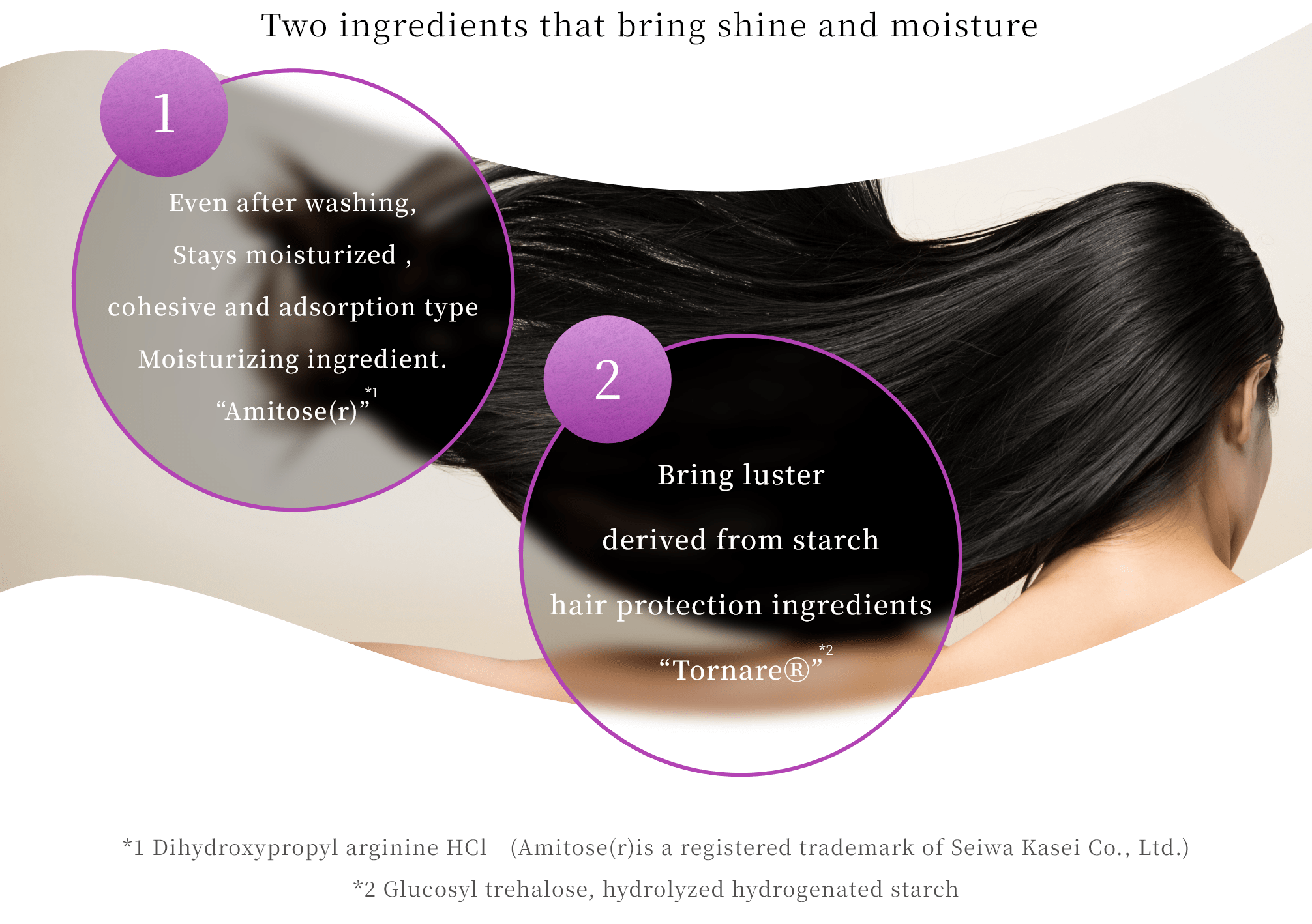 Even after washing,Stays moisturized and cohesive Adsorption type moisturizing ingredient “Amitose(r)*1” bring luster derived from starch hair protection ingredients “TornareⓇ*2” *1 Dihydroxypropyl arginine HCl (Amitose(r)is a registered trademark of Seiwa Kasei Co., Ltd.) *2 Glucosyl trehalose, hydrolyzed hydrogenated starch